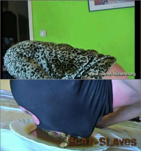 Download Lady Melissa Femdom Scat Pissen HD 720p Scat-Slaves.net