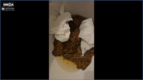 Download Lady Tsunam - Toilet Miracle  – FullHD 1080p Scat-Slaves.net