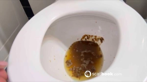 Download Scatbook:  - Shit For BDSM And Fetish Lovers 222 [HD 720p] (10.8 MB) Scat-Slaves.net