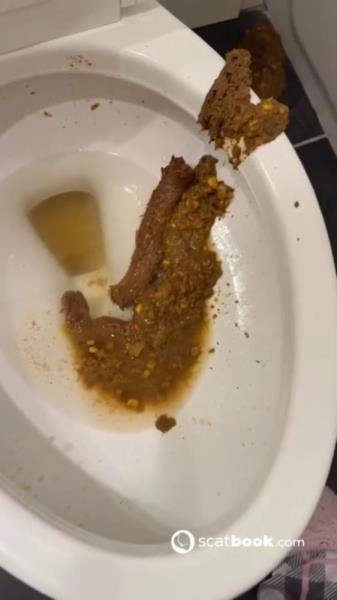 Download Scatbook:  - Bossys Bathroom Blunder A Splattered Catastrophe [SD] (9.86 MB) Scat-Slaves.net