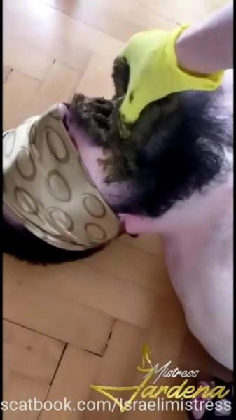 Download Scatbook.com:  - Scat lunch for my dirty slut [SD] (32.0 MB) Scat-Slaves.net