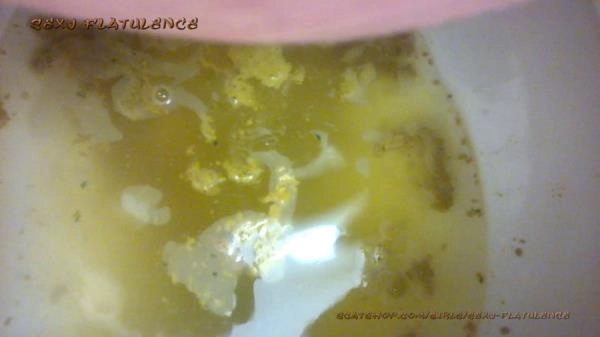 Scatshop:  - Diarrhea In The Toilet [FullHD 1080p] (365 MB) – Scat-Slaves poster