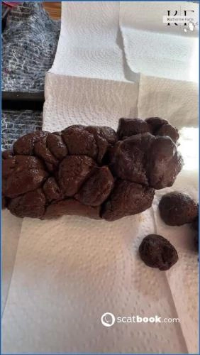 Genieße Katherine Farts in einer Femdom-Furzerfahrung in HD 720p - 00:02:48 aus Russland