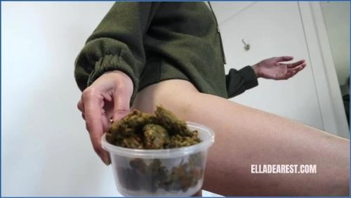 VEGGIE DELIGHT Pissing, Femdom – HD 720p / Scatbook – Scat-Slaves poster