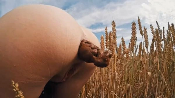 Filthygrid.com:  - HUGE Summer Field Poop [HD 720p] (24.0 MB) – Scat-Slaves poster