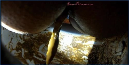 Naomi - Escenas de esclavitud y scat en baño FullHD – Scat-Slaves poster