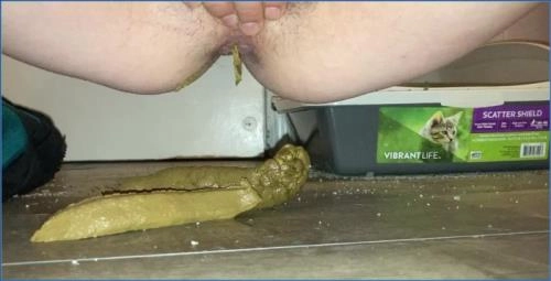 Missellie in FullHD 1080p: Hardcore Slave Scat and Toilet Slave clips Download Now - scat porn video at Scat-Slaves.net