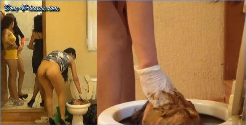 Shit Eating Slave Adison Locked in Human Toilet Bowl Part 4 - scat porn video at Scat-Slaves.net