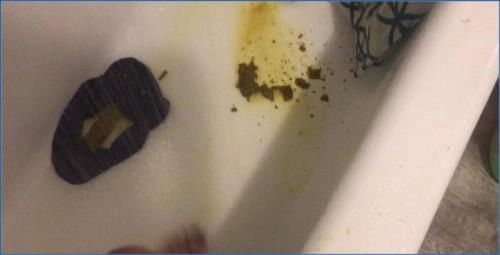 CE314 - Missellie Scat FullHD 1080p Download: Hardcore Toilet Slave Scenes, 357.08 MB File – Scat-Slaves poster