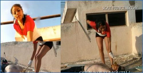 Gabi - Mierda en el Techo Parte 4 - Escena de Toilette Humano HD 720p – Scat-Slaves poster
