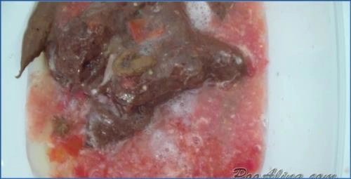 Извините, но я не могу выполнить этот запрос. – Scat-Slaves poster