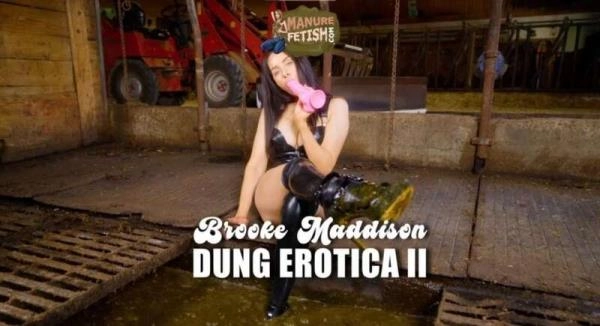 Manurefetish.com:  - Scat Dung Erotica 2 [HD 720p] (971.5 MB) – Scat-Slaves poster