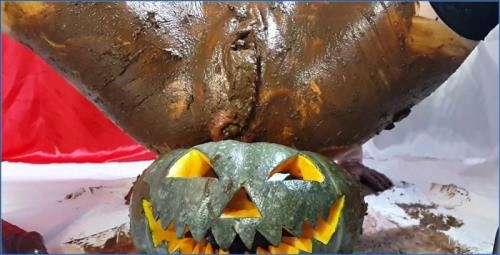 Anna Coprofield - Hardcore Klo-Sklavin in Trick Or Treat Teil 2 FullHD 1080p Download - scat porn video at Scat-Slaves.net