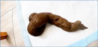 Watch Pulsifer Paprocki Shit Outdoors in Scared Shitless 5 Day Post-op - related scat video at Scat-Slaves