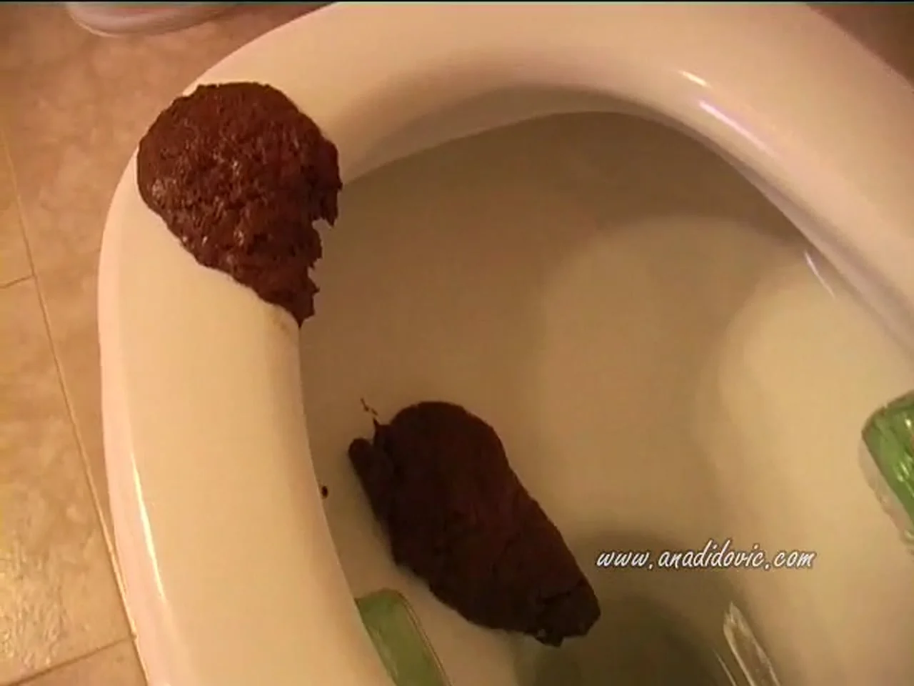 Download Solo Scat: Kelly's Sloppy Bathroom Dump Caught in Close-Up Scat-Slaves.net
