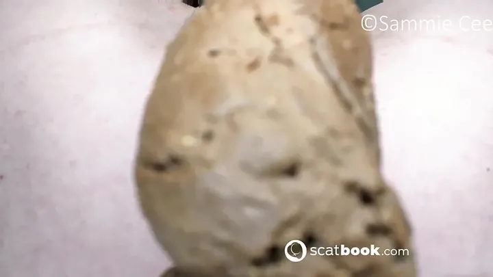 SammieCee Spreads Her Cheeks for a Close-Up Brown Load - Scat Solo - scat porn video at Scat-Slaves.net