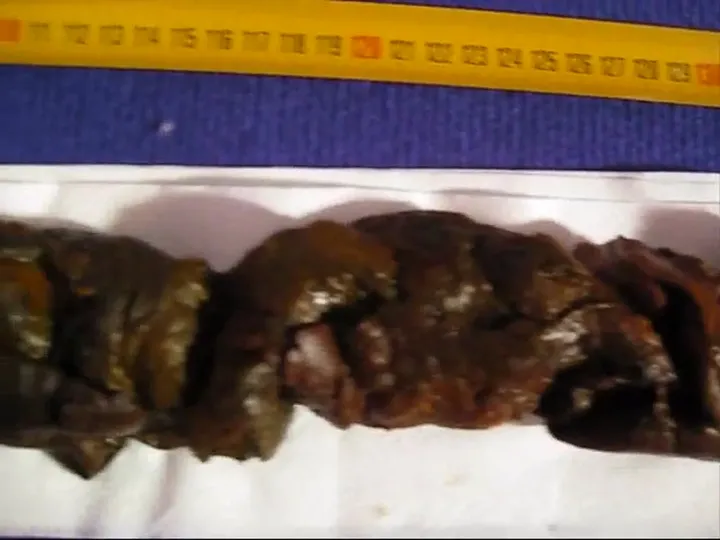 Shelly Poops and Smears a Heavy Warm Load in Unhurried US Scat - scat porn video at Scat-Slaves.net