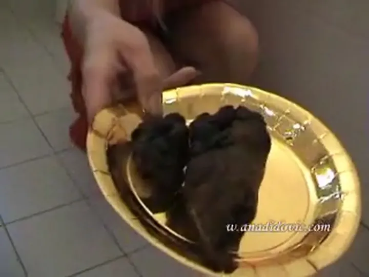Ana Didovic Poops Calmly on Camera in a Tidy Solo Drop - scat/copro - scat porn video at Scat-Slaves.net