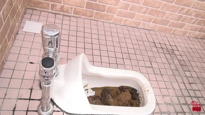 Toilet Overload: Stinky Poops and Clogged Bowls from JADE - scat porn video at Scat-Slaves.net
