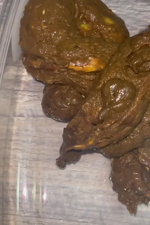 Messy Scat Roleplay Before a Big Meeting - Deep Impact Defecation - scat porn video at Scat-Slaves.net