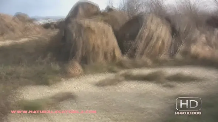 Unhurried Scat Play Builds a Dirty Mess in Sharp Detail - Natural - scat porn video at Scat-Slaves.net