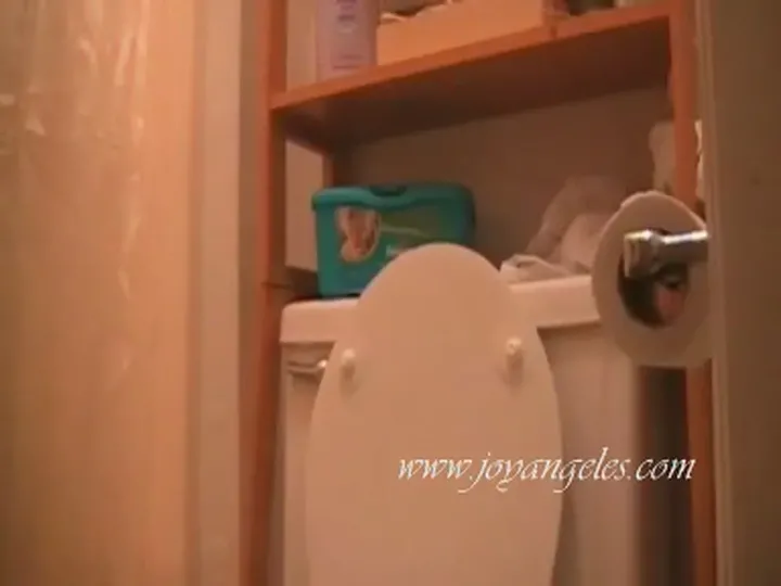 Amateur Toilet Poop Set Straight from the 2008 Joyangeles Vault - scat porn video at Scat-Slaves.net