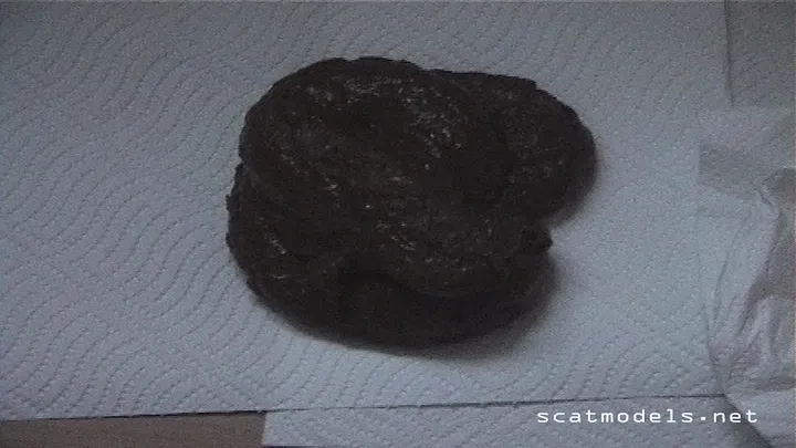 Solo Amateur Shits and Plays Messily in a No-Fuss Scat Round - popular scat video at Scat-Slaves