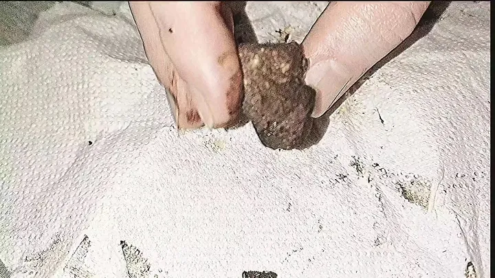 Sweet Betty Takes Her Time with a Gentle Shit and Smearing Round - related scat video at Scat-Slaves
