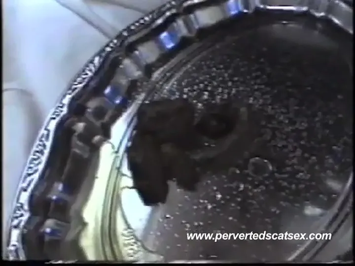 Warm Scat Load Smears Fast in No-Frills Defecation Video - scat porn video at Scat-Slaves.net