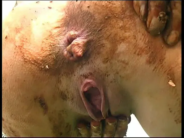 German Kaviar Mess: Unfiltered Scat Action from Shitmaster 140 - scat porn video at Scat-Slaves.net
